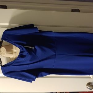 New Tiana B jumpsuit royal blue 1X